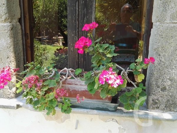 ferienwohnung-tutu-fenster.jpg