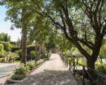 villa-saracina-zugang-im-garten.jpg