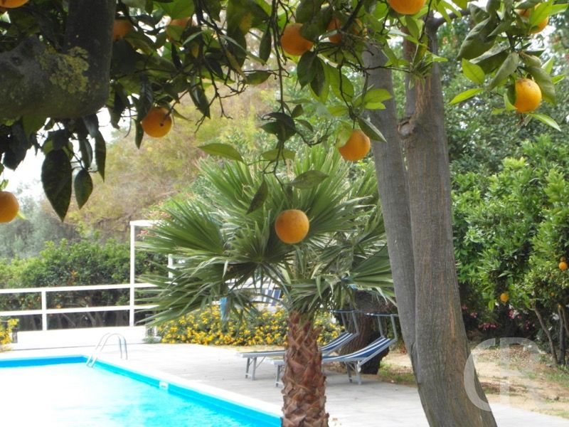 ferienwohnung-catania-mit-blick-auf-das-schwimmbadjpg.jpg