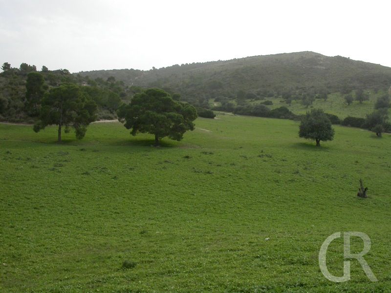 ferienwohnungen-donnafugata-umgebung.JPG