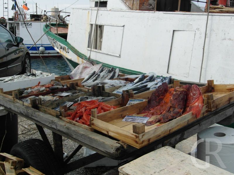 fischangebot-in-trapani.JPG