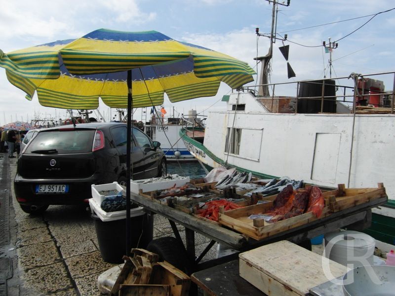 frische-fische-am-hafen-von-trapani.JPG