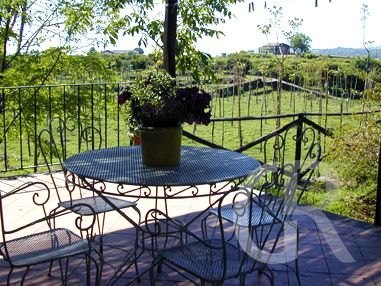 casa-di-pippinitto-hintere-terrasse-mit-gartenblick.jpg