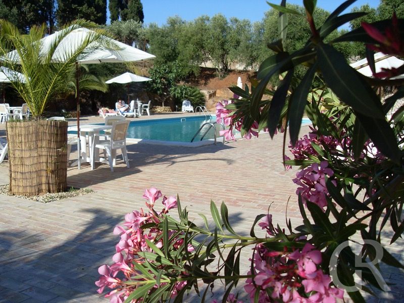 bluehender-garten-um-den-pool.jpg