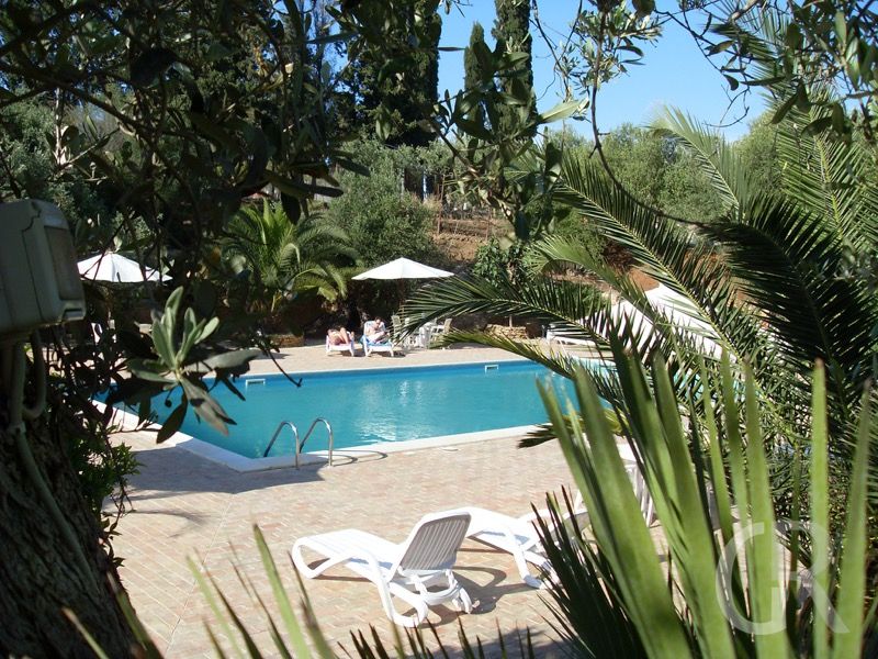 sonnenliegen-am-pool.jpg