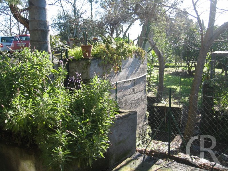 casa-di-pippinitto-blick-in-den-garten.JPG