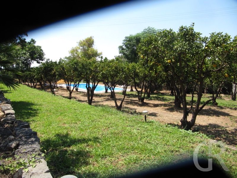ferienwohnung-catania-orangenhain.JPG