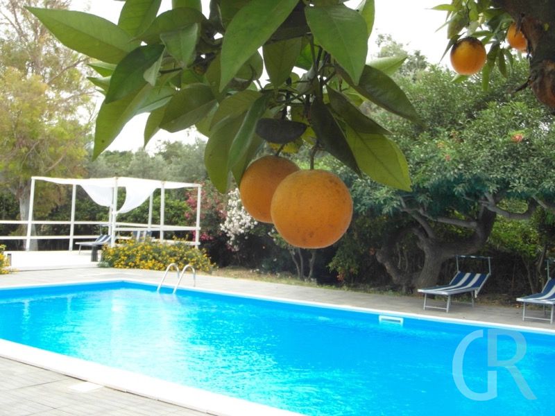 ferienwohnung-catania-pool-mit-orangen.jpg