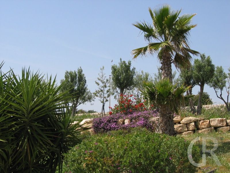 ferienwohnungen-donnafugata-palmengarten.jpg