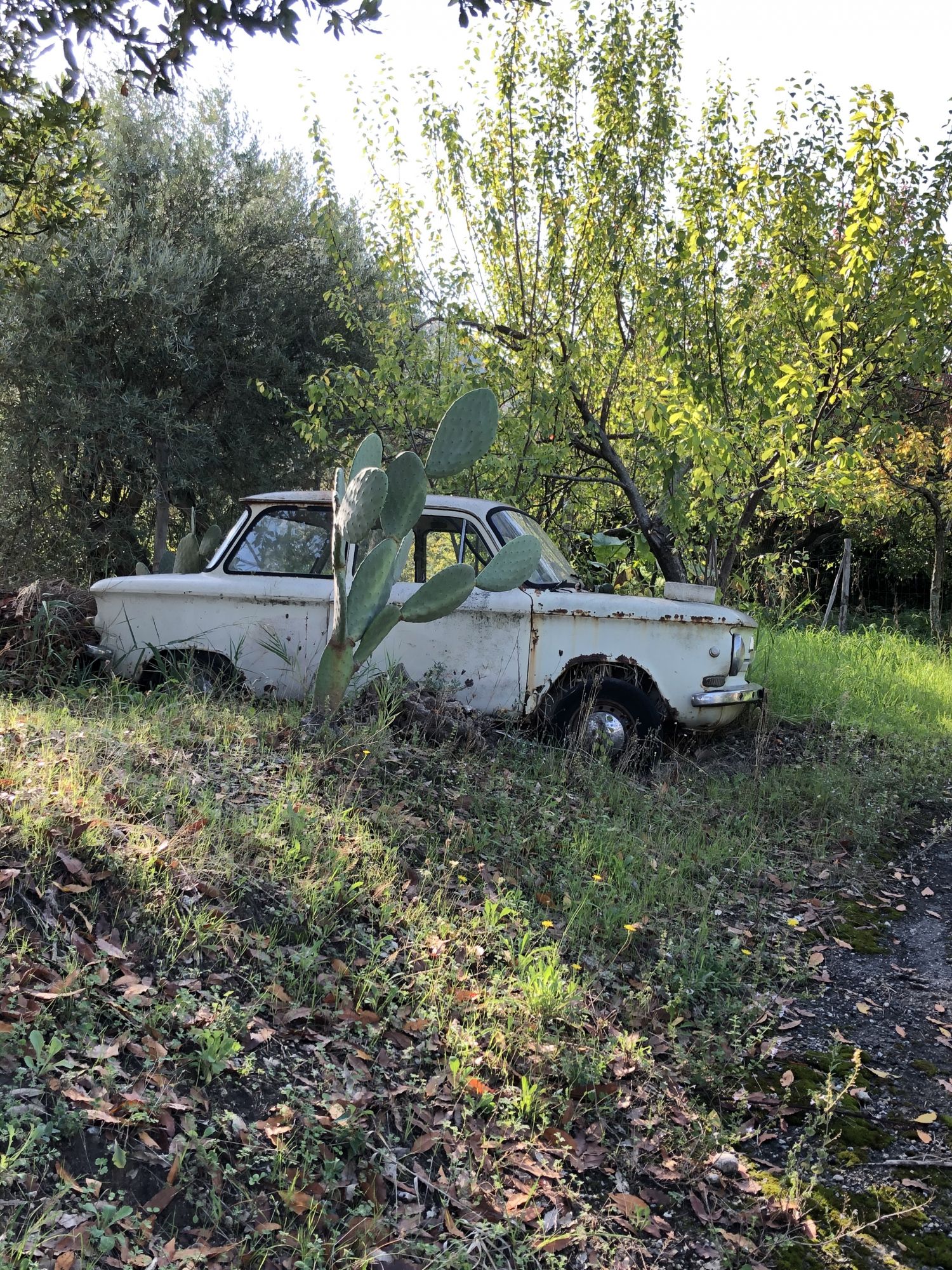 ausgemusterter-alter-simca