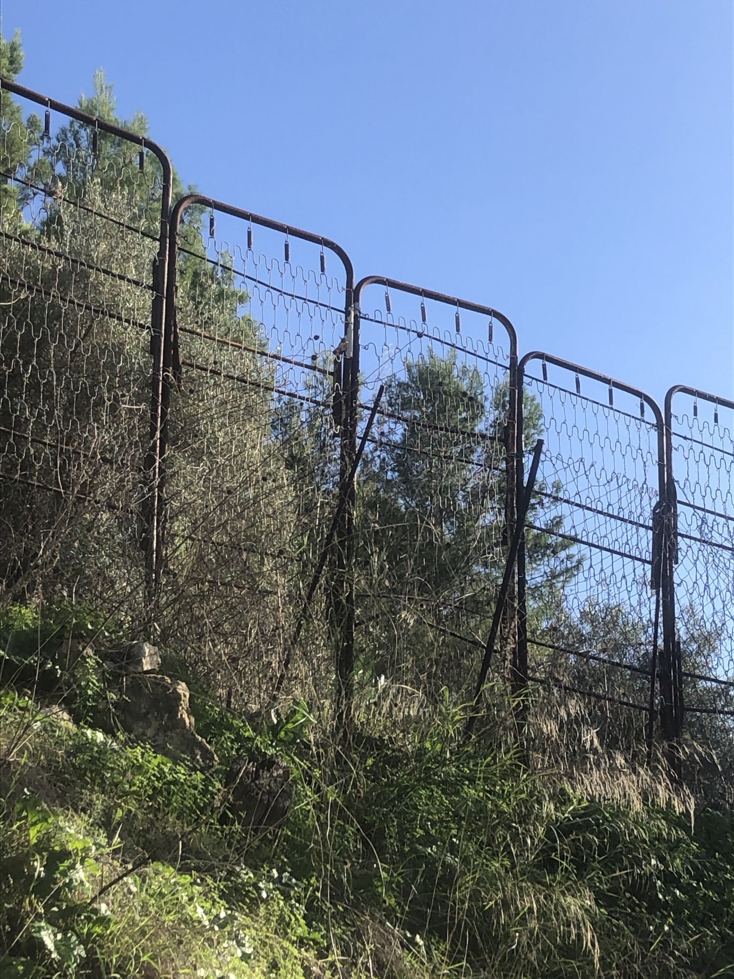 zaun-in-sizilien