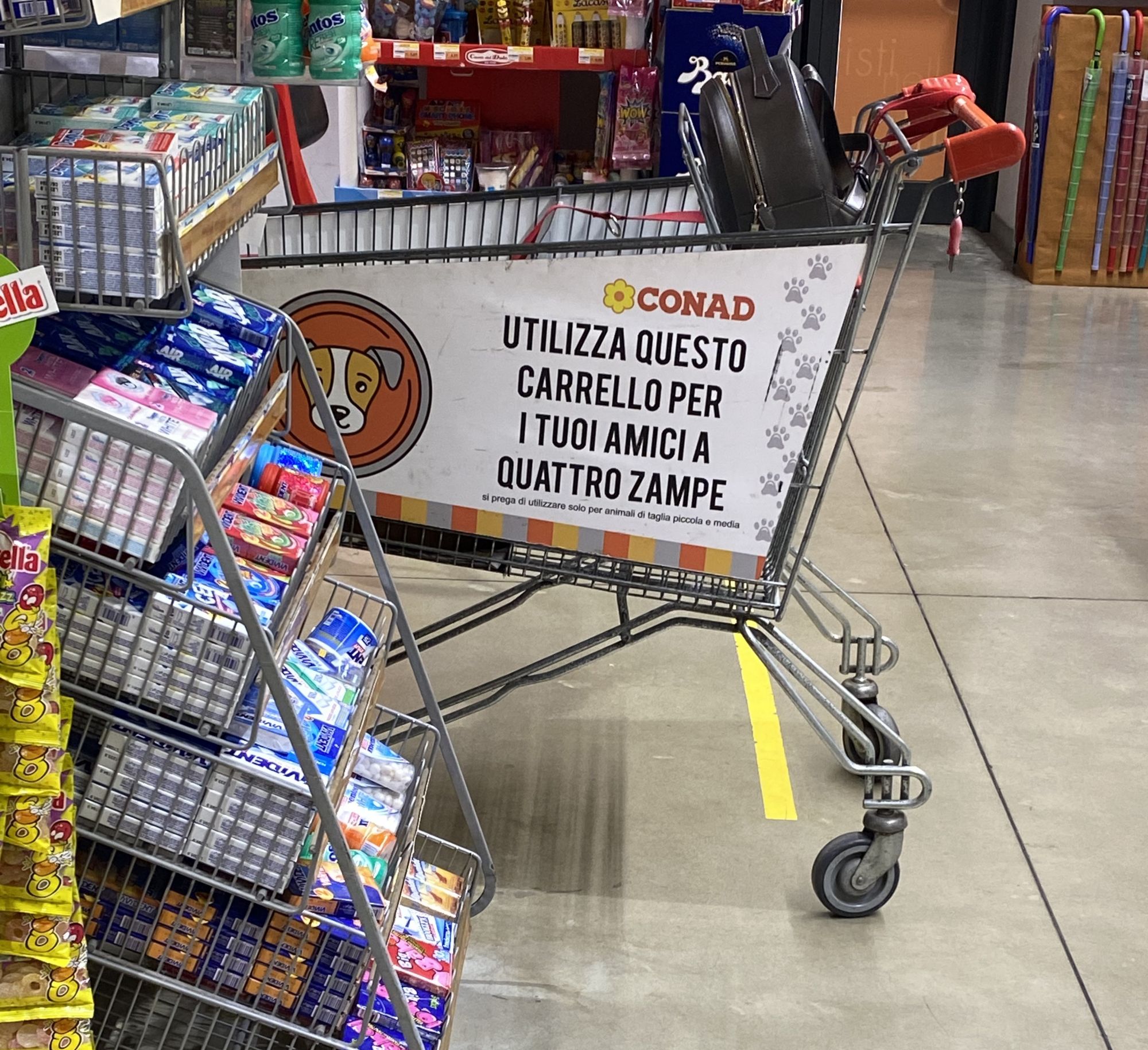 einkaufswagen-fr-hunde-in-ragusa