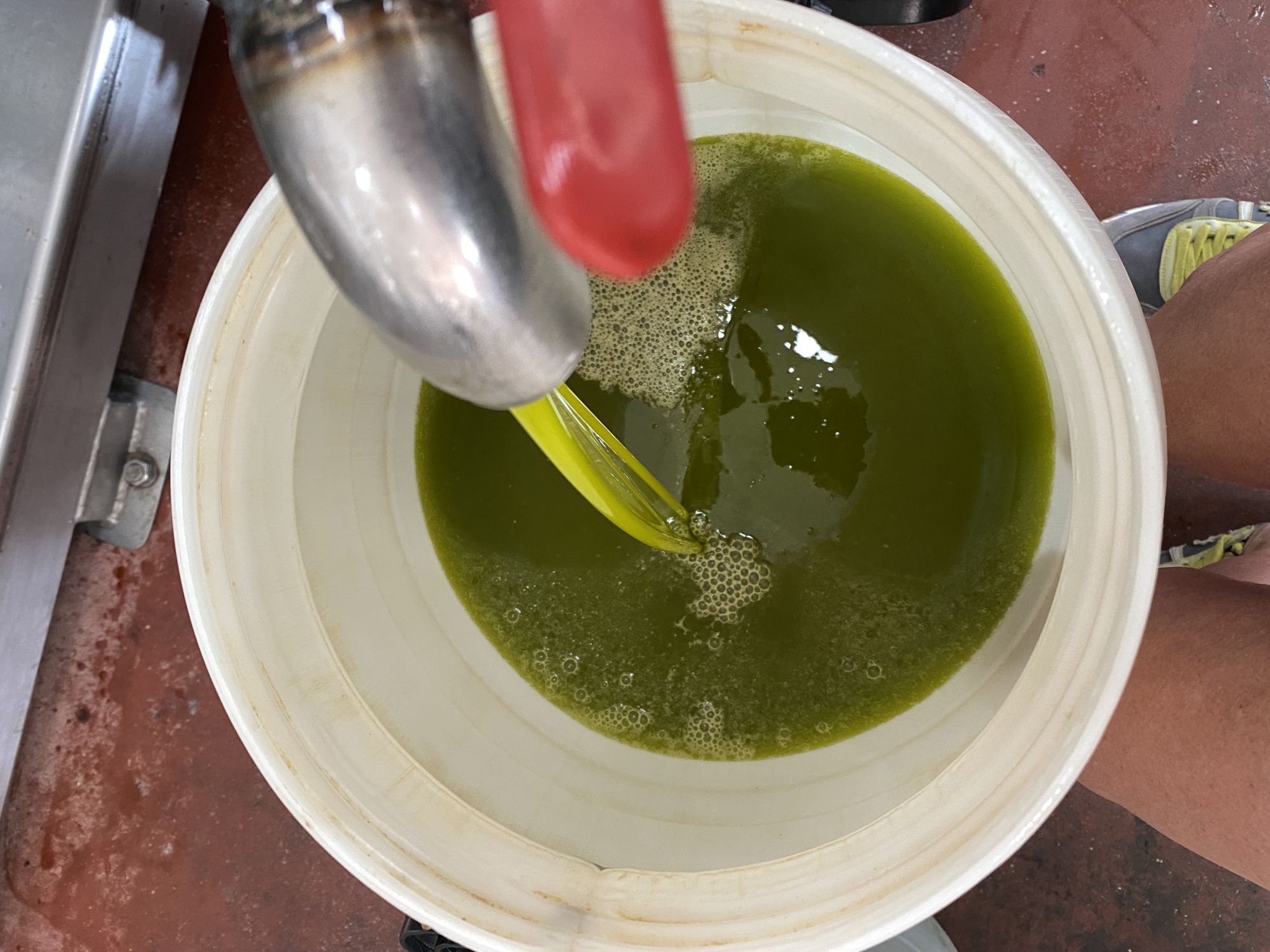 wunderbar-duftendes-olivenoel-in-chiaramonte