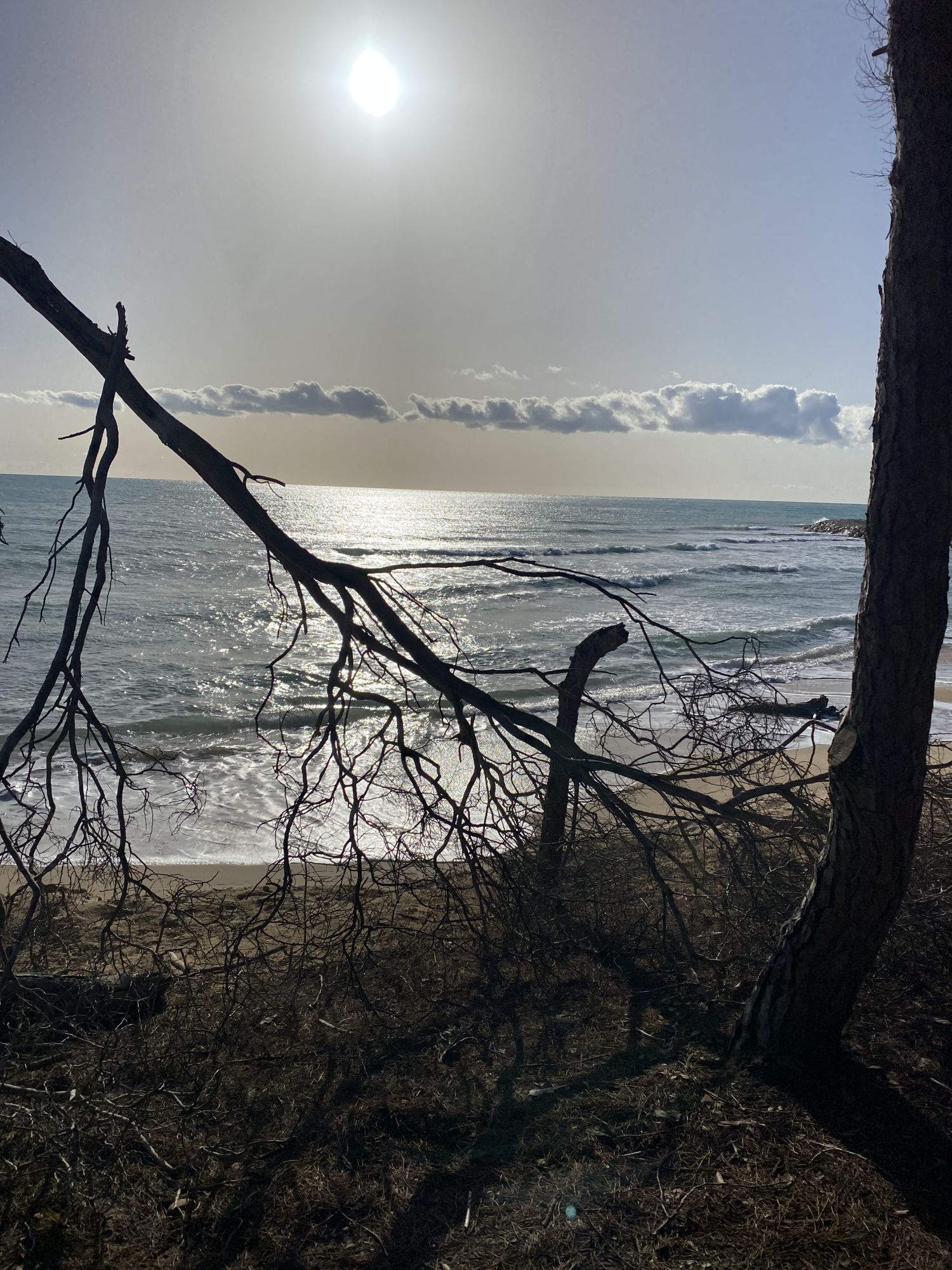 am-meer