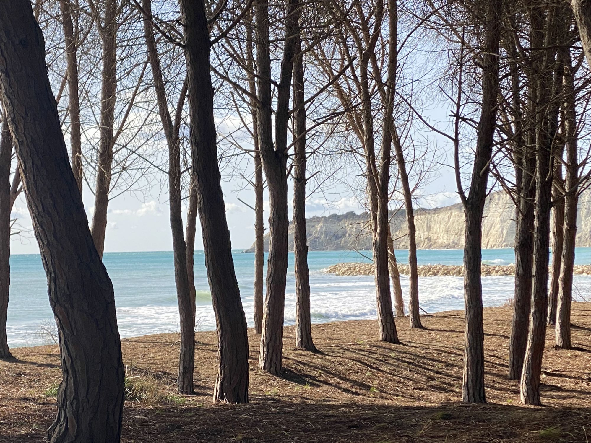 bei-eraclea-minoa