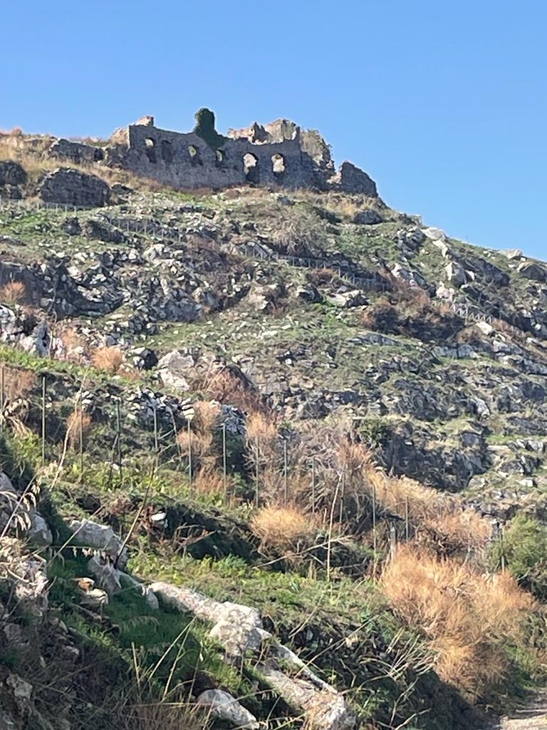 blick-auf-die-burg