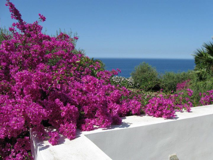 ferienwohnung-la-pagliera-blick-von-der-terrasse