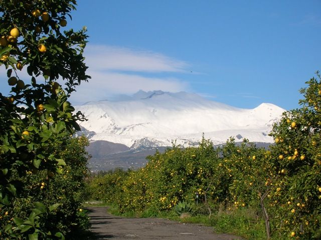 ferienwohnungen-im-agriturismo-blick-auf-den-etna.JPG